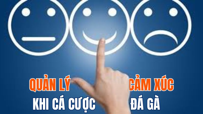 Chơi cá cược đá gà cần quản lý cảm xúc thật tốt